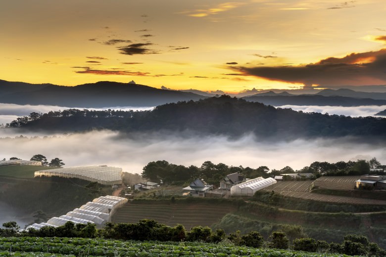 Jour 5
